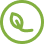 leaf-icon